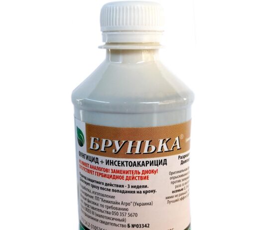 Брунька – высокоэффективный препарат для защиты растений