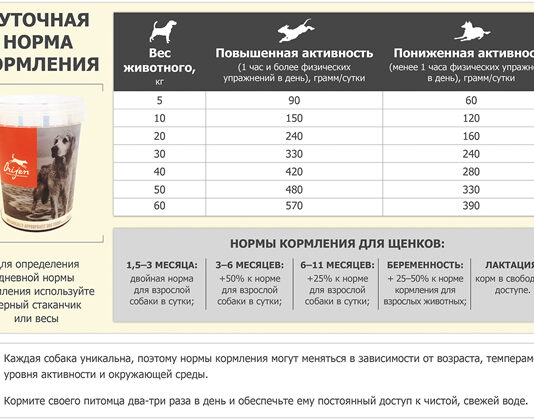 Сколько сухого корма давать собаке и кошке в день