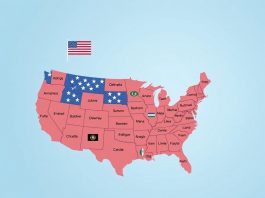 Языковые курсы в США: как выбрать программу, не потеряв время и деньги